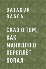 читать Сказ о том, как Манилло в переплёт попал
