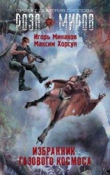 читать Избранник Газового космоса