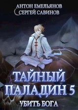 читать Тайный паладин 5. Убить бога