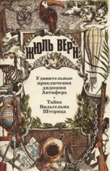 читать Удивительные приключения дядюшки Антифера. Тайна Вильгельма Шторица: Романы