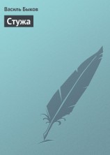 читать Стужа