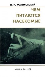 читать Чем питаются насекомые