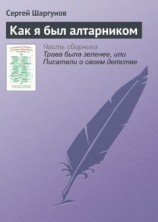 читать Как я был алтарником