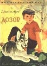 читать Дозор