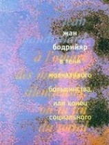 читать В тени молчаливого большинства, или Конец социального