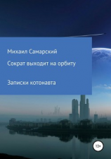 читать Сократ выходит на орбиту (записки котонавта)