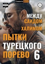 читать Пытки Турецкого Порево 6. Между Саидом и Халимом