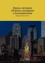 читать Сборник сценариев и кинопроектов. Издание третье. Том 2