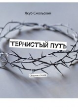 читать Тернистый путь. Сборник стихов