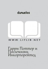 читать Гарри Поттер и Послежизнь Инкорпорейтед