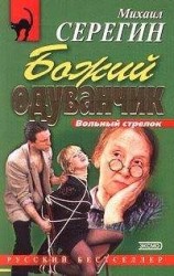 читать ФЕЙЕРВЕРКИ СМЕРТИ
