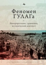 читать Феномен ГУЛАГа. Интерпретации, сравнения, исторический контекст
