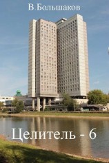 читать Целитель-6