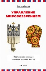 читать Управление мировоззрением. Подлинные и мнимые ценности русского народа