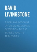 читать A Popular Account of Dr. Livingstone's Expedition to the Zambesi and Its Tributaries