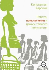 читать Работа, приключения и деньги тайного покупателя