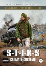 читать Стикс. Сломать систему