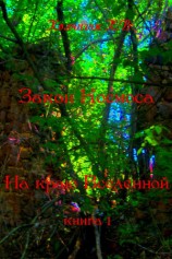 читать Закон Космоса. На краю вселенной. Книга первая