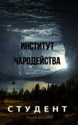 читать Институт чародейства