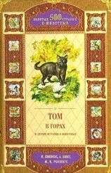 читать Бастер, ко мне!