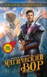 читать Магический Вор