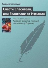 читать Спасти Спасителя, или Евангелие от Измаила
