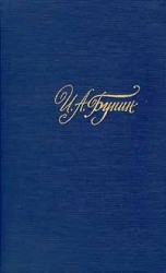 читать Том 3. Рассказы и повести 1917 1930. Жизнь Арсеньева