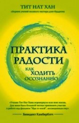 читать Практика радости. Как ходить осознанно
