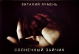 читать Солнечный зайчик
