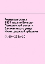 читать Ревизская сказка 1857 года по Больше-Песошинской волости Балахнинского уезда Нижегородской губернии. Ф. 60238А-10
