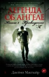 читать Легенда об ангеле. Книга 1. Провидение
