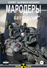 читать МАРОДЕРЫ. Книга первая. Бегство