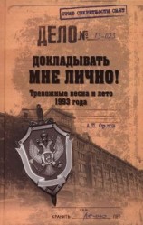 читать Докладывать мне лично! Тревожные весна и лето 1993 года