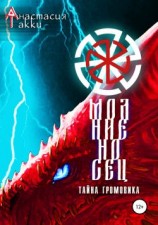читать Молниеносец. Тайна Громовика