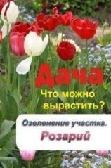 читать Что можно вырастить? Озеленение участка. Розарий