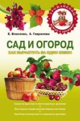 читать Сад и огород. Как вырастить за один сезон