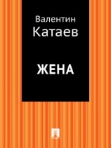читать Жена