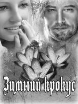 читать Зимний крокус