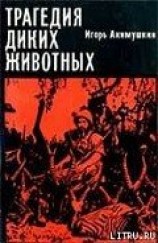 читать Трагедия диких животных