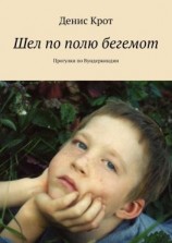 читать Шел по полю бегемот. Прогулки по Вундеркиндии