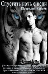 читать Спустить ночь с цепи (ЛП)