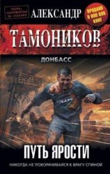 читать Путь ярости