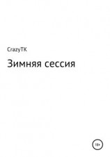 читать Зимняя сессия