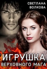 читать Игрушка Верховного Мага