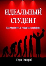 читать Идеальный студент. Как преуспеть в учебе без зубрежки