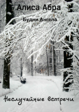 читать Неслучайные встречи