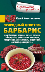 читать Природный целитель барбарис. При болезнях сердца, почек, печени, туберкулёзе, ревматизме, геморрое, гипертонии, авитаминозе, пневмонии, артрите, радикулите