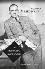 читать По мостовой моей души