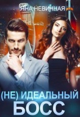 читать (Не) идеальный босс