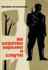 читать На берегах Горыни и Случи